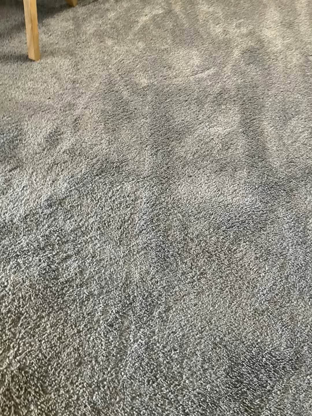 739835877 122094455481395883 8620930551669206101 n
